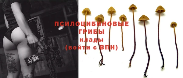 дурь Белокуриха